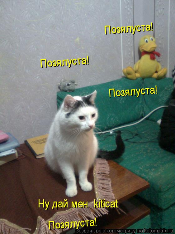 Ну дай мені kiticat Позялуста! Позялуста! Позялуста! Позялуста!... Котоматрица: Ну дай мені kiticat Позялуста! Позялуста! Позялуста! Позялуста!