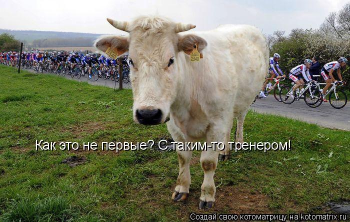 Котоматрица: Как это не первые? С таким-то тренером!