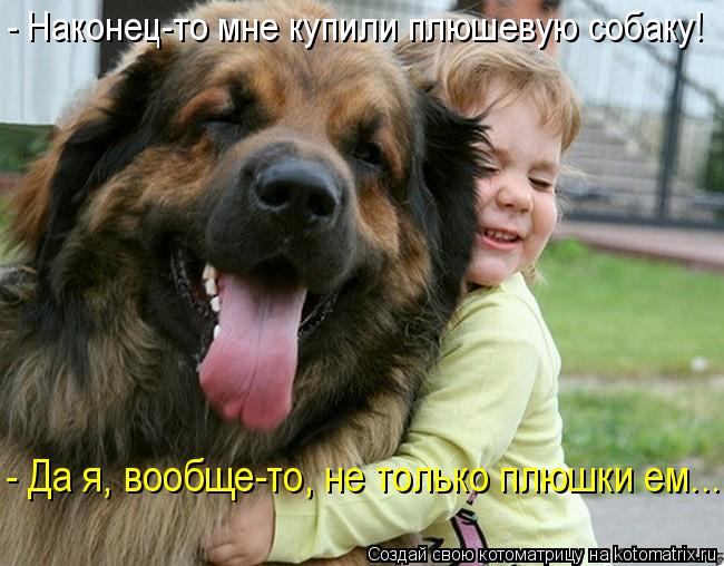 Котоматрица: - Наконец-то мне купили плюшевую собаку! - Да я, вообще-то, не только плюшки ем...