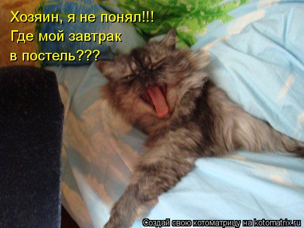 Котоматрица: Хозяин, я не понял!!! Где мой завтрак в постель???