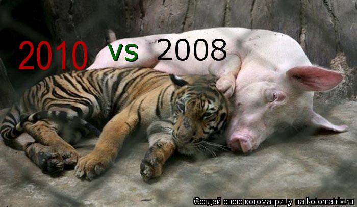 Котоматрица: vs 2008 2010