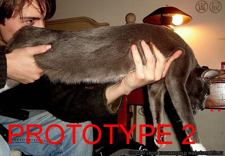 Котоматрица: PROTOTYPE 2 .......................
