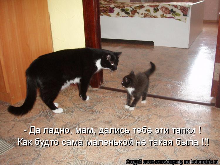 - Да ладно, мам, дались тебе эти тапки ! Как будто сама маленькой не такая была !!!... Котоматрица: - Да ладно, мам, дались тебе эти тапки ! Как будто сама маленькой не такая была !!!
