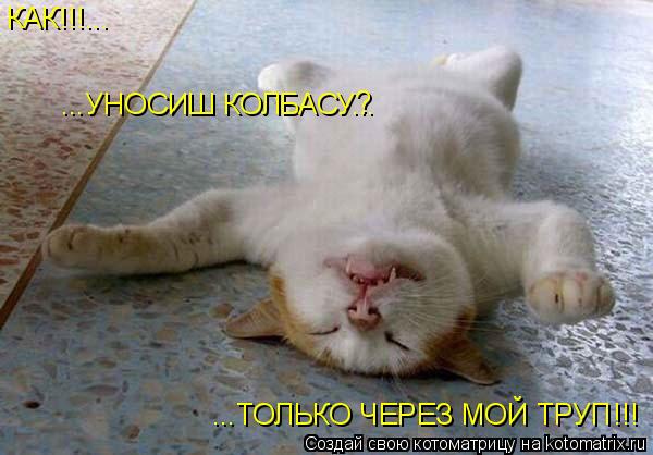 Котоматрица: ...ТОЛЬКО ЧЕРЕЗ МОЙ ТРУП!!! КАК!!!... ...УНОСИШ КОЛБАСУ... ?