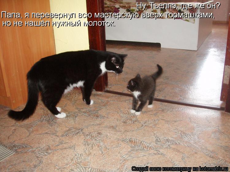 Котоматрица: Ну, Тьелпэ, где же он? Папа, я перевернул всю мастерскую вверх тормашками, но не нашёл нужный молоток.