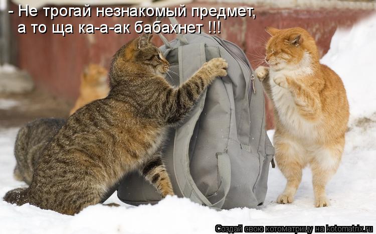 Котоматрица: - Не трогай незнакомый предмет, а то ща ка-а-ак бабахнет !!!