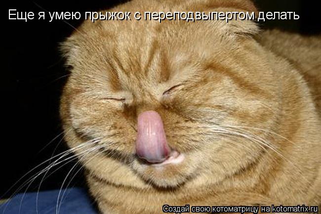 Котоматрица: Еще я умею прыжок с переподвыпертом делать