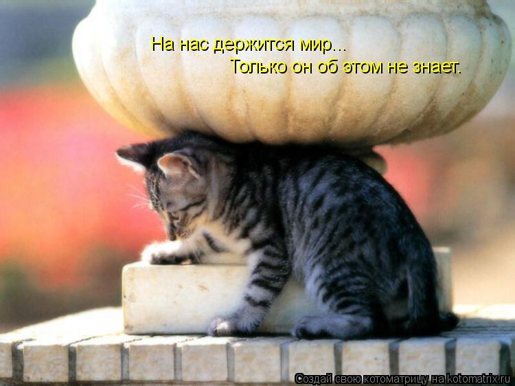 Котоматрица: На нас держится мир... Только он об этом не знает.