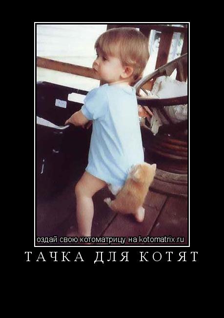 Котоматрица: тачка для котят 