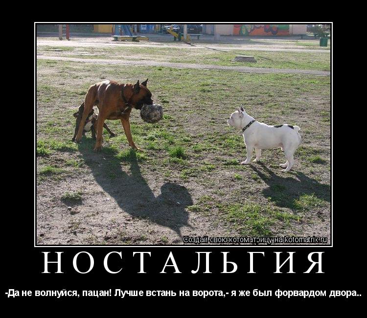 Котоматрица: НОСТАЛЬГИЯ -Да не волнуйся, пацан! Лучше встань на ворота,- я же был форвардом двора..