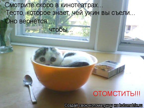 Котоматрица: Смотрите скоро в кинотеатрах... Тесто, которое знает, чей ужин вы съели... Оно вернётся.... чтобы... ОТОМСТИТЬ!!!