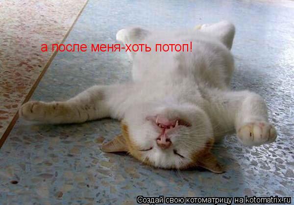 Котоматрица: а после меня-хоть потоп!