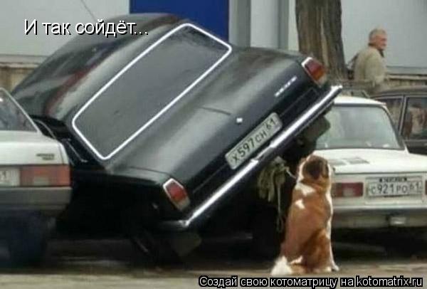 Котоматрица: И так сойдёт...