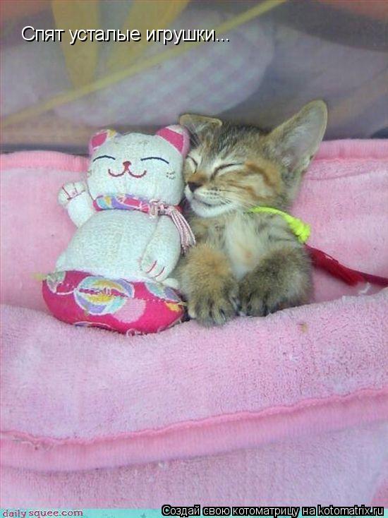Котоматрица: Спят усталые игрушки...