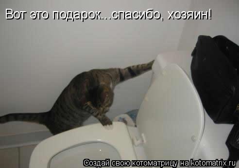 Котоматрица: Вот это подарок...спасибо, хозяин!