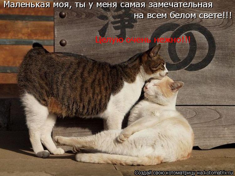 Котоматрица: Маленькая моя, ты у меня самая замечательная  на всем белом свете!!! Целую очень нежно!!!
