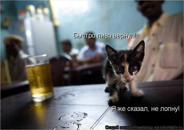 Котоматрица: Быстро пиво вернул! Я же сказал, не лопну!