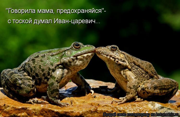 Котоматрица: "Говорила мама, предохраняйся"- с тоской думал Иван-царевич...