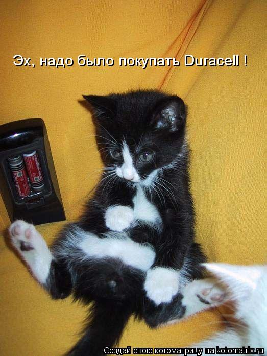 Котоматрица: Эх, надо было покупать Duraсell !