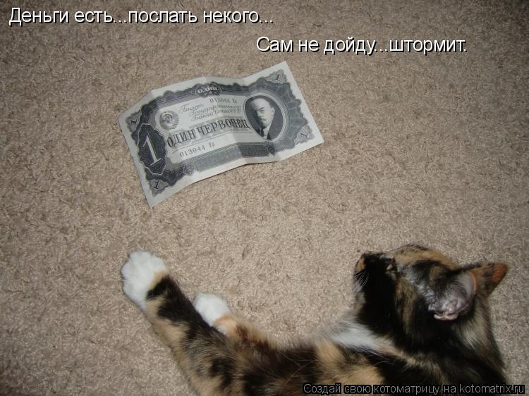 Котоматрица: Деньги есть...послать некого... Сам не дойду...штормит.