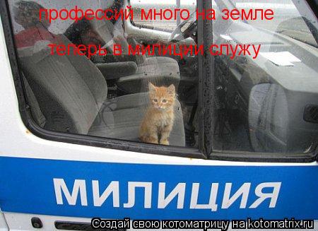 Котоматрица: профессий много на земле теперь в милиции служу