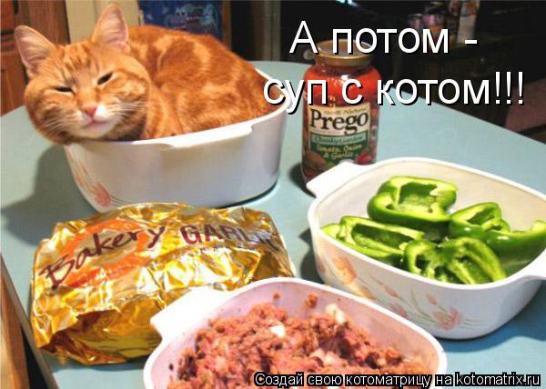 Котоматрица: А потом -  суп с котом!!!