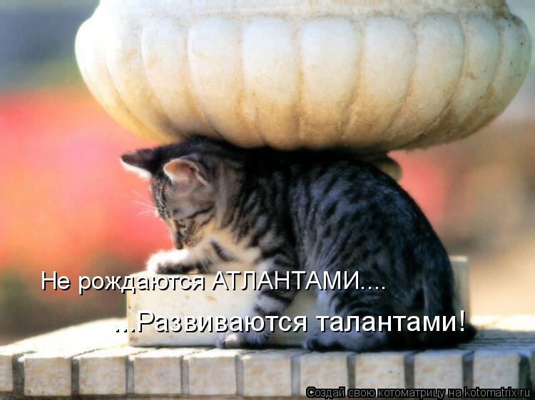 Котоматрица: Не рождаются АТЛАНТАМИ.... ...Развиваются талантами!