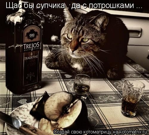 Котоматрица: Щас бы супчика , да с потрошками ...