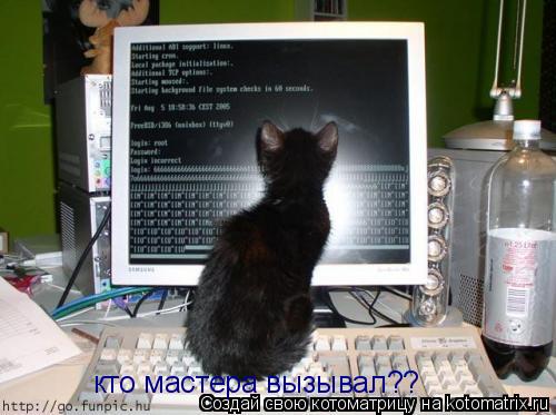 Котоматрица: кто мастера вызывал??