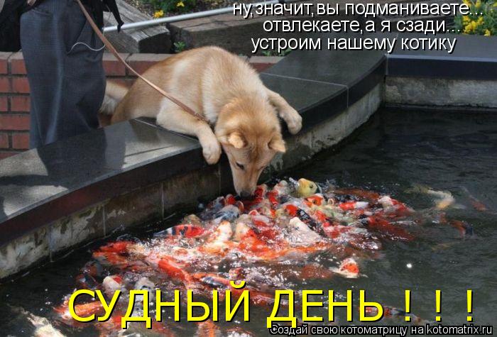 Котоматрица: ну,значит,вы подманиваете... отвлекаете,а я сзади... устроим нашему котику СУДНЫЙ ДЕНЬ ! ! !