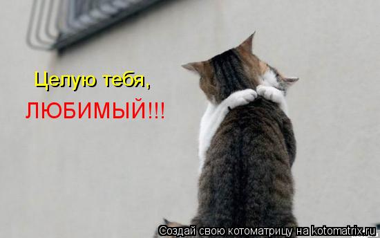 Открытки я нежно целую тебя в Открытки я нежно целую тебя в