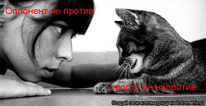 Котоматрица: Оппонент не против просто он напротив...