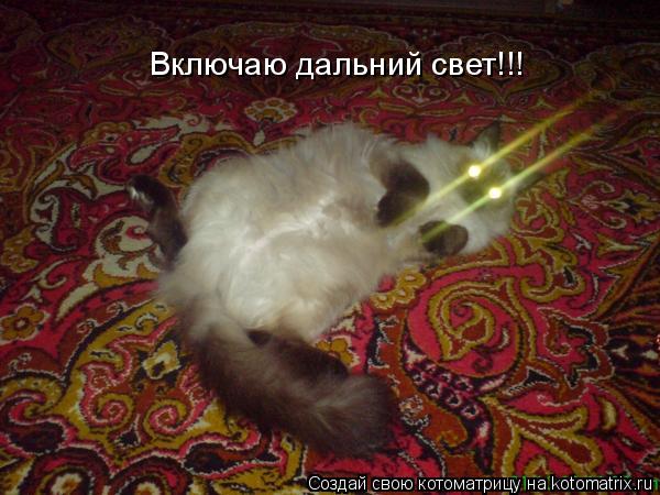 Котоматрица: Включаю дальний свет!!!