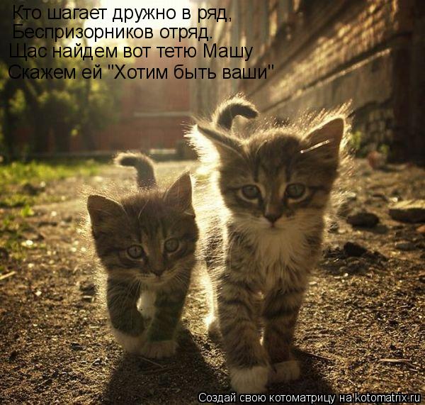 Котоматрица: Кто шагает дружно в ряд, Беспризорников отряд. Щас найдем вот тетю Машу Скажем ей "Хотим быть ваши"