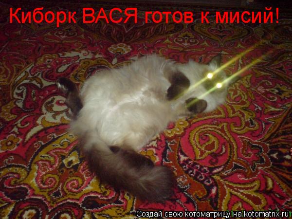 Котоматрица: Киборк ВАСЯ готов к мисий!
