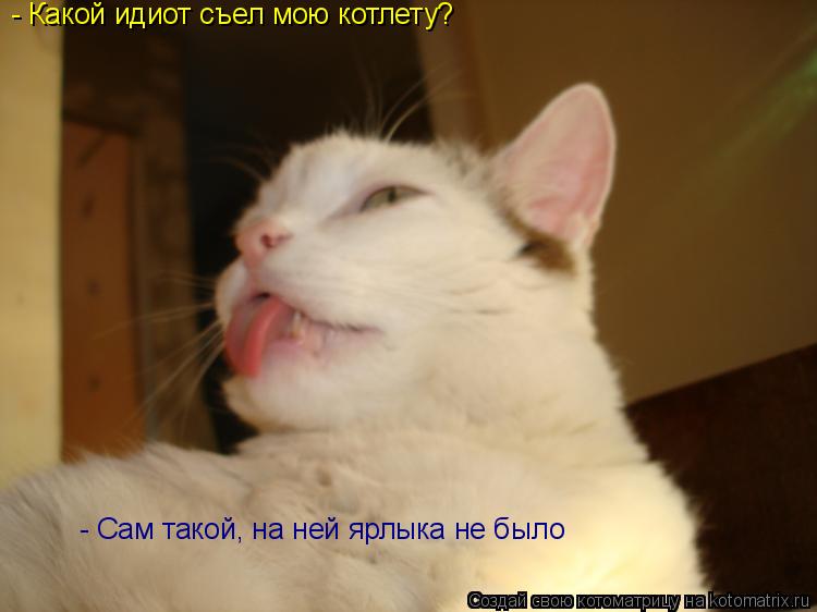 Котоматрица: - Какой идиот съел мою котлету? - Сам такой, на ней ярлыка не было