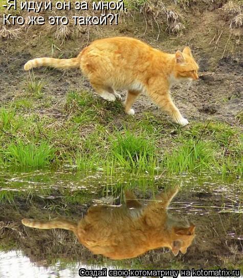 Котоматрица: -Я иду,и он за мной, Кто же это такой?!