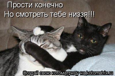 Котоматрица: Прости конечно Но смотреть тебе низзя!!!