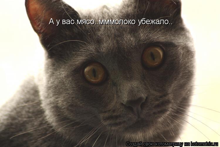 Котоматрица: А у вас мясо..мммолоко убежало..
