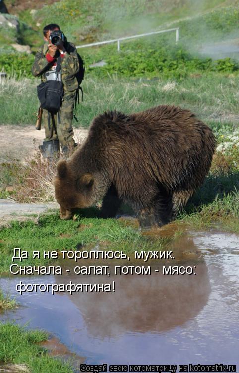Котоматрица: Да я не тороплюсь, мужик. Сначала - салат, потом - мясо: фотографятина!
