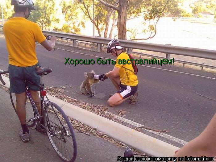 Котоматрица: Хорошо быть австралийцем!