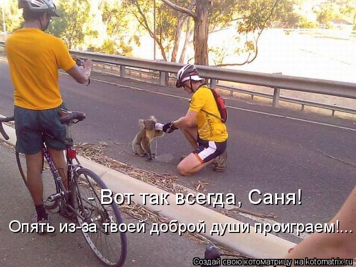 - Вот так всегда, Саня! Опять из-за твоей доброй души проиграем!...... Котоматрица: - Вот так всегда, Саня! Опять из-за твоей доброй души проиграем!...