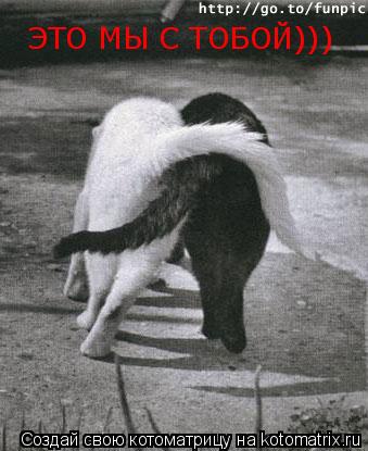 Котоматрица: ЭТО МЫ С ТОБОЙ)))