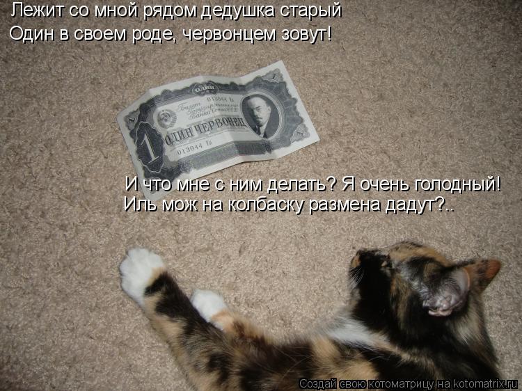 Котоматрица: Лежит со мной рядом дедушка старый  Один в своем роде, червонцем зовут! И что мне с ним делать? Я очень голодный! Иль мож на колбаску размена д
