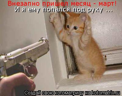 Котоматрица: Внезапно пришел месяц - март! И я ему попался под руку ...