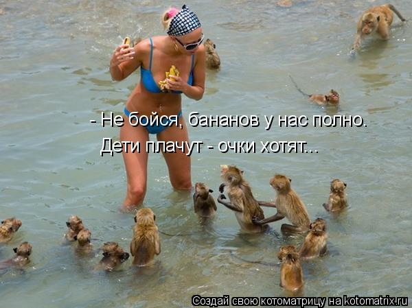 - Не бойся, бананов у нас полно. Дети плачут - очки хотят...... Котоматрица: - Не бойся, бананов у нас полно. Дети плачут - очки хотят...