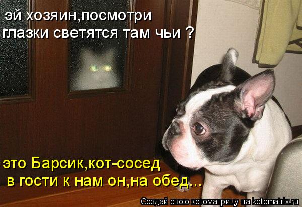 Котоматрица: эй хозяин,посмотри глазки светятся там чьи ? это Барсик,кот-сосед в гости к нам он,на обед...