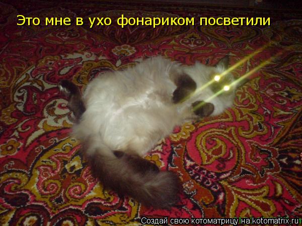 Котоматрица: Это мне в ухо фонариком посветили