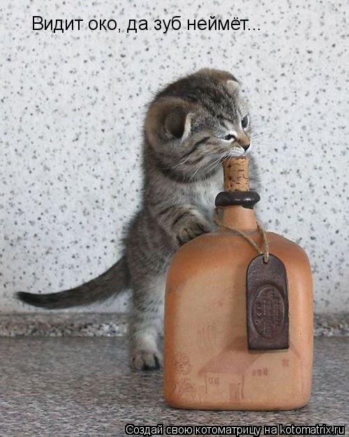 Котоматрица: Видит око, да зуб неймёт...