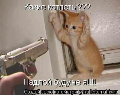 Котоматрица: Какие котлеты??? Какие котлеты??? Падлой буду,не я!!!!